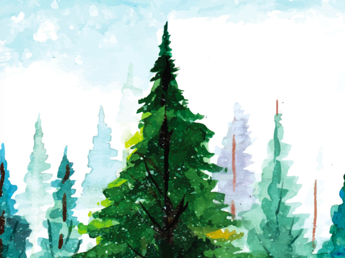 Aquarelle de la canopée d'une forêt boréale