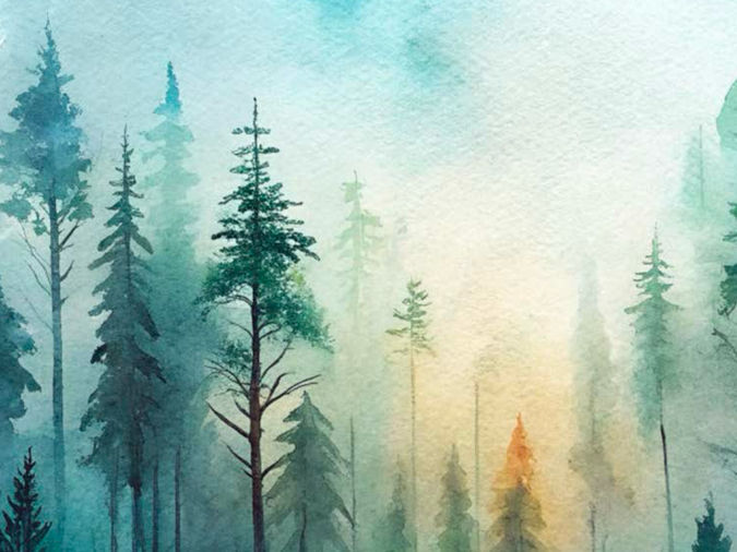 Aquarelle de la canopée d'une forêt boréale
